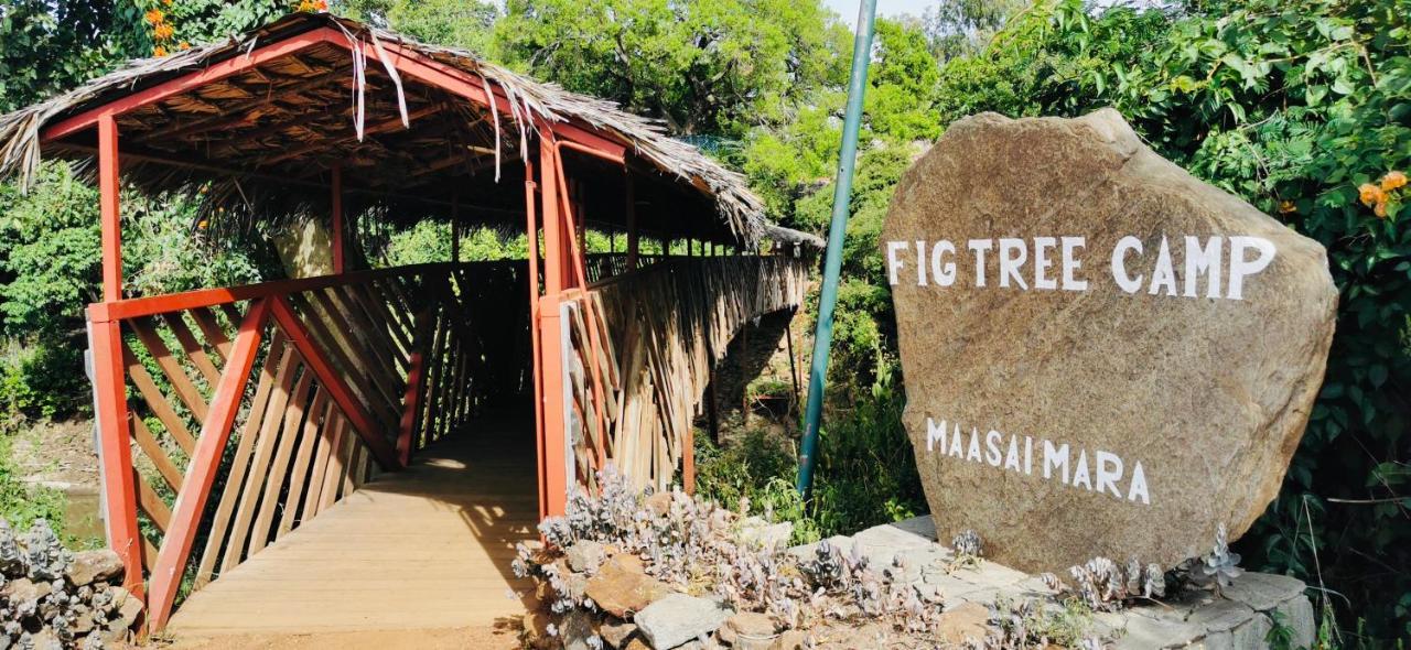 Fig Tree Camp - Maasai Mara Hotell Talek Eksteriør bilde