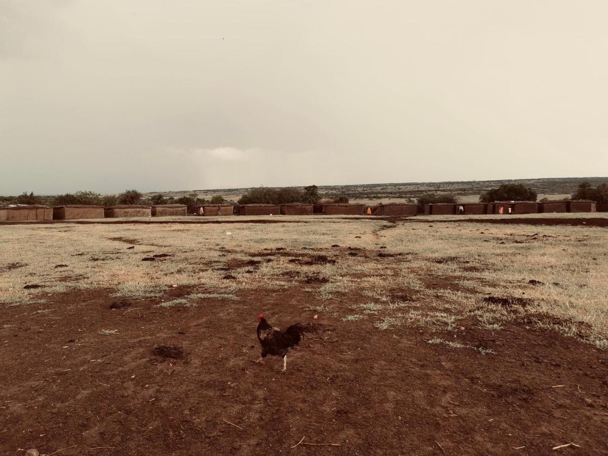 Fig Tree Camp - Maasai Mara Hotell Talek Eksteriør bilde